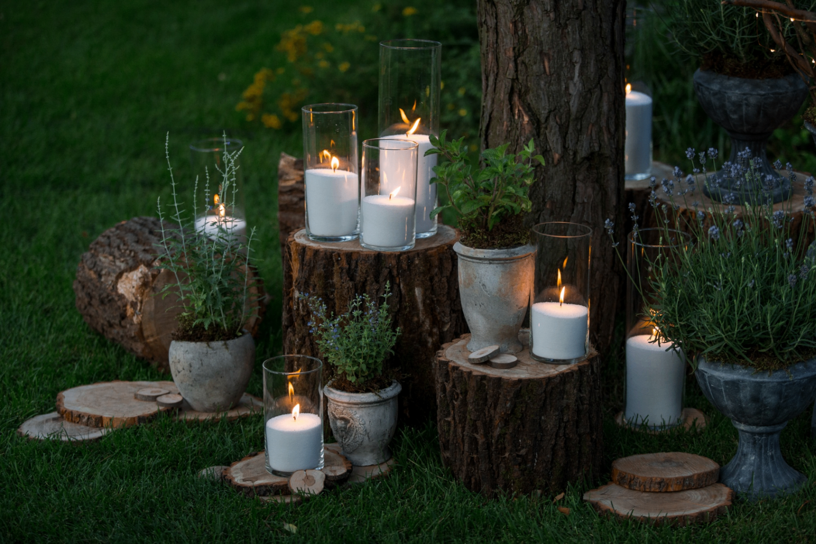 Composition de bougies et plantes au crépuscule sur souches de bois